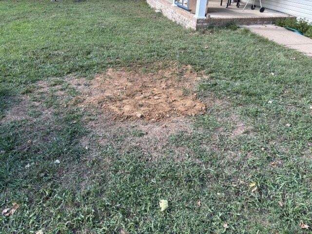 Completed job, yard cleaned up